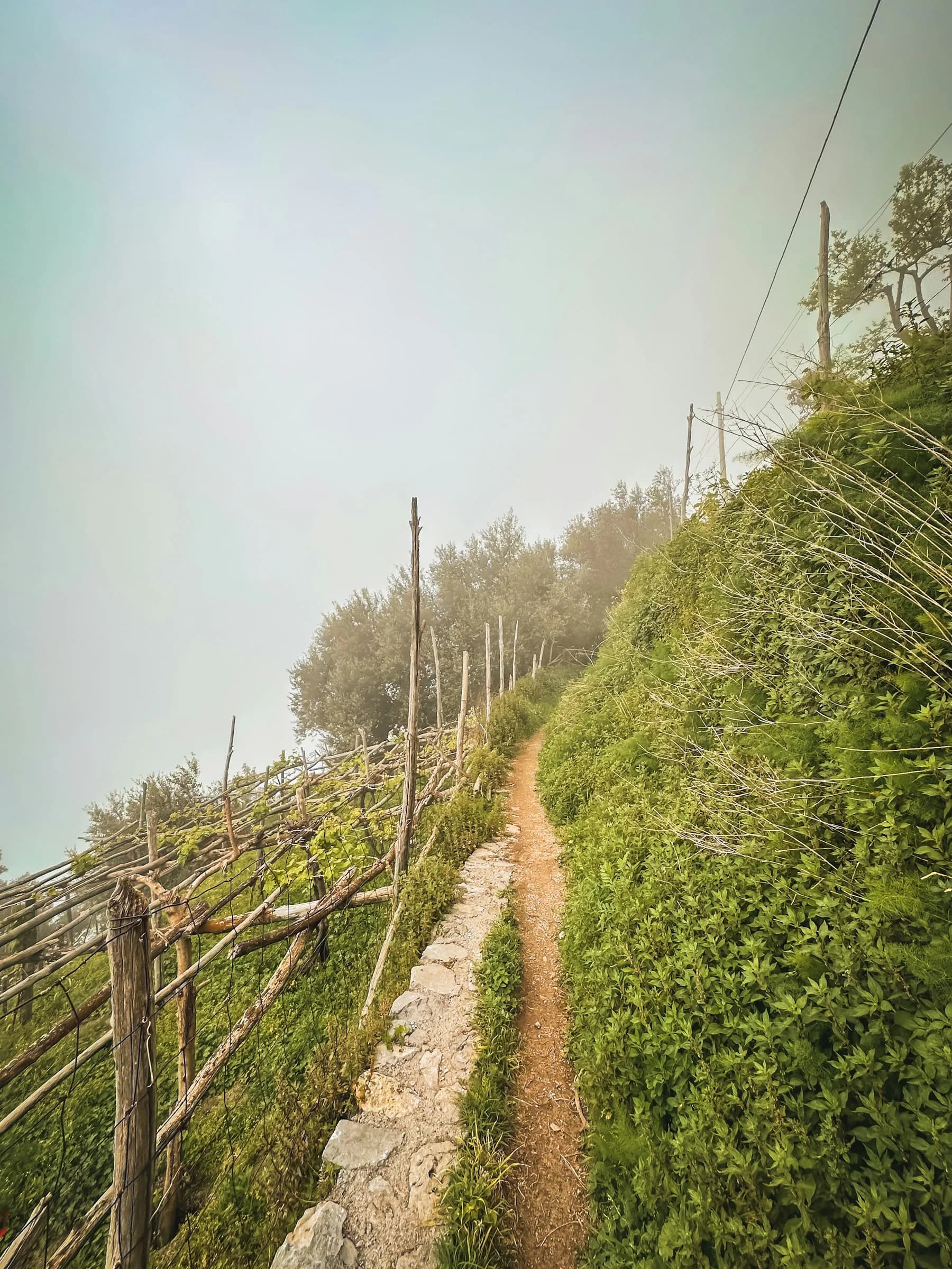 The path between the terraces, inside a low cloud