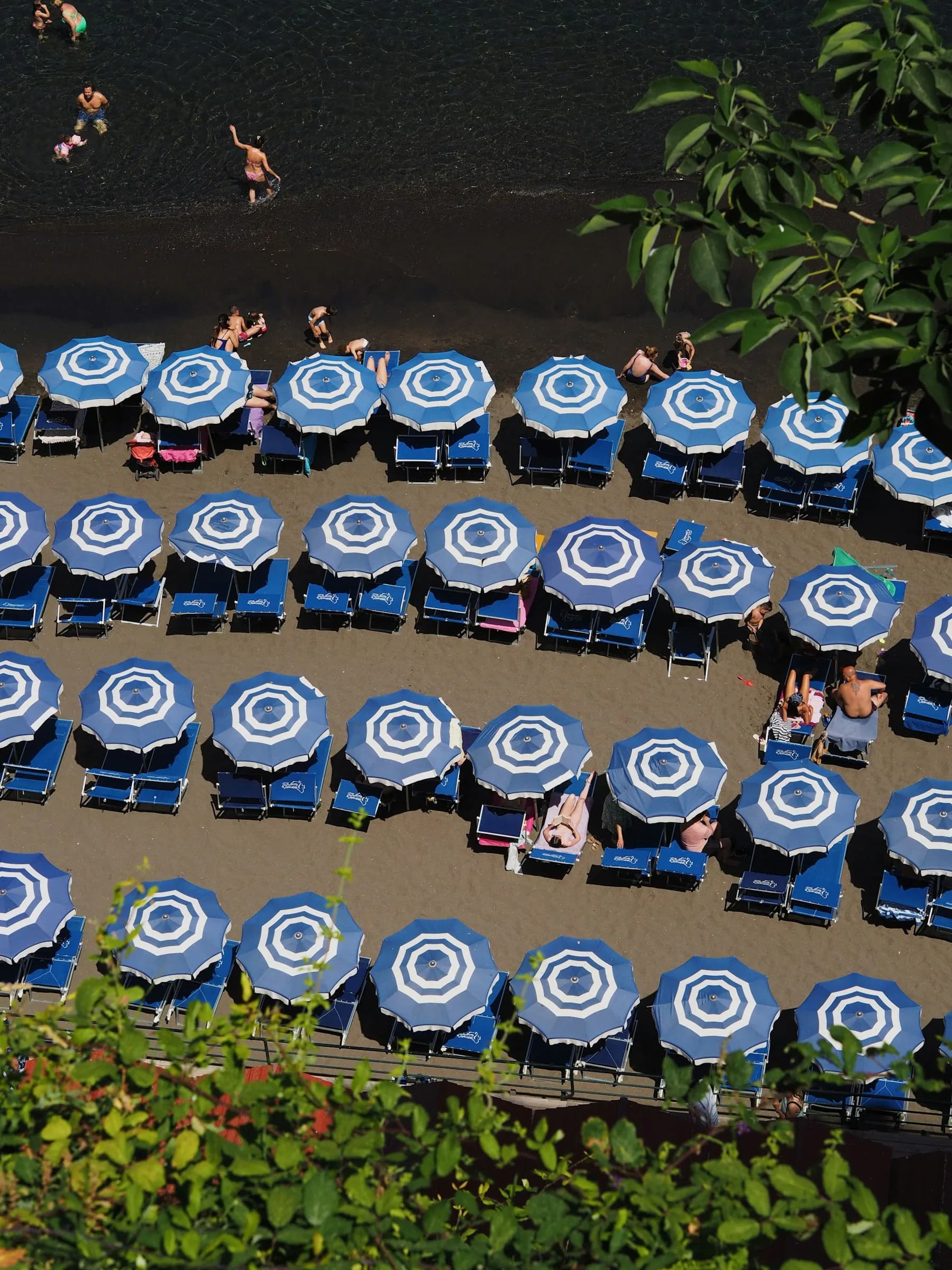 Blue and white striped umbrellas in neat rows, from above