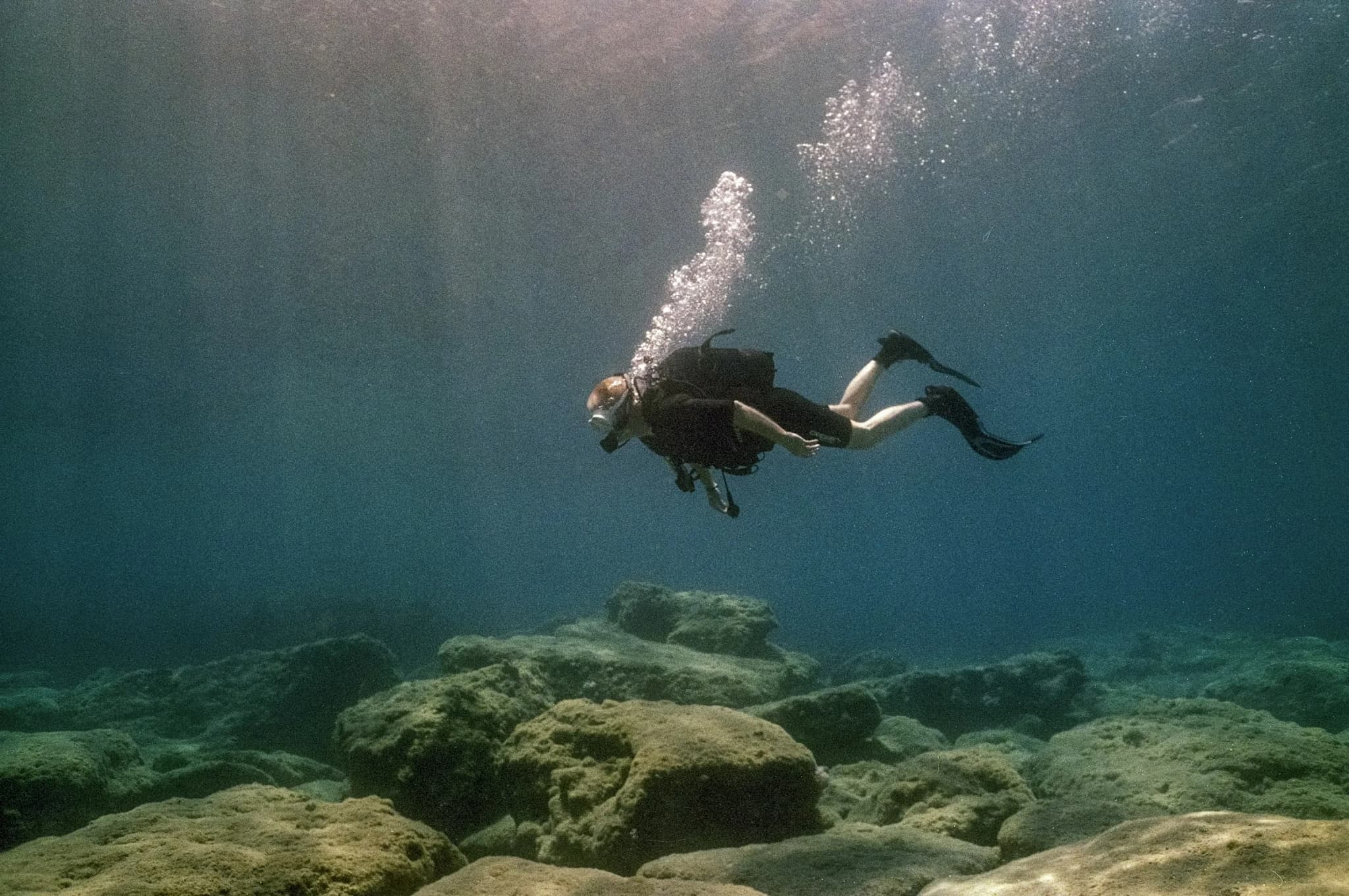 A diver over the seabed, light filtering down from the surface