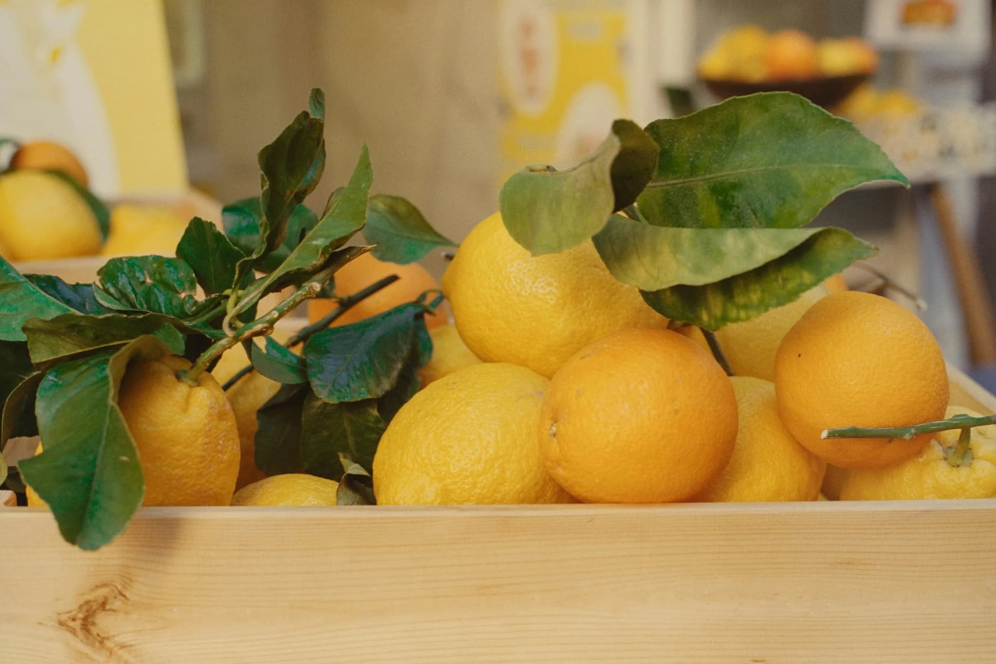 Freshly picked lemons in a wooden crate