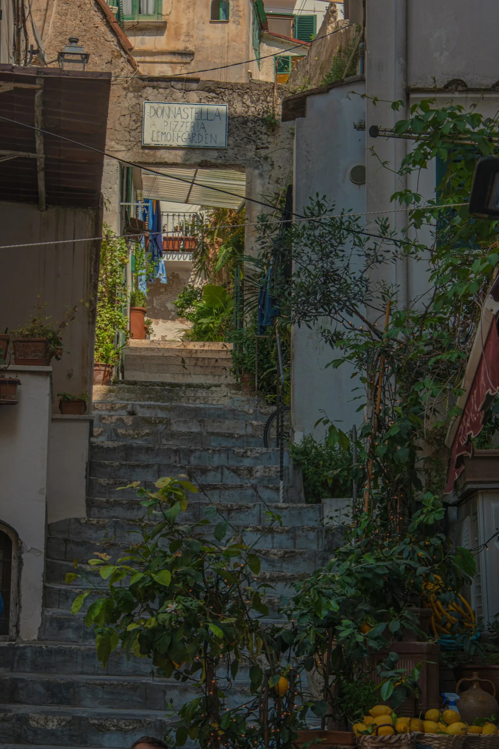 A stepped alley in Amalfi between white walls and potted plants