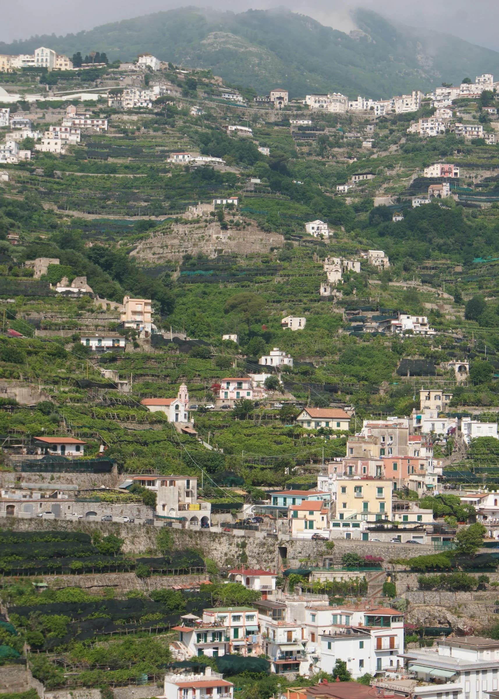 Lemon terraces on the hills above Maiori